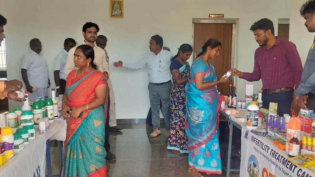 50 farmers undergo training on conserving indigenous goat breeds